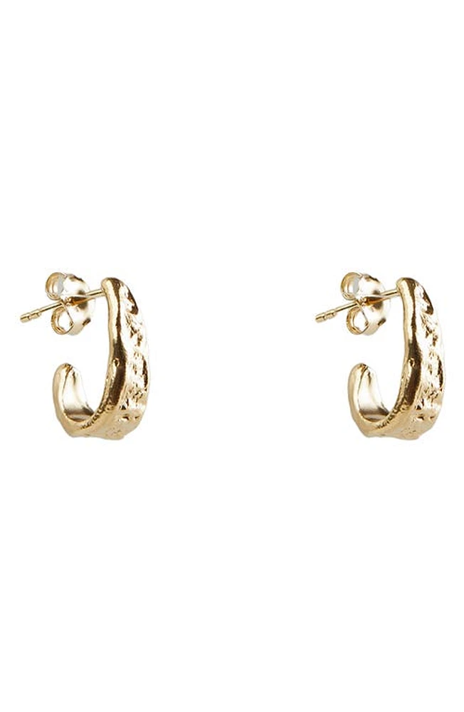 Argento Vivo Sterling Silver Molten J Hoop Earrings in Gold at Nordstrom