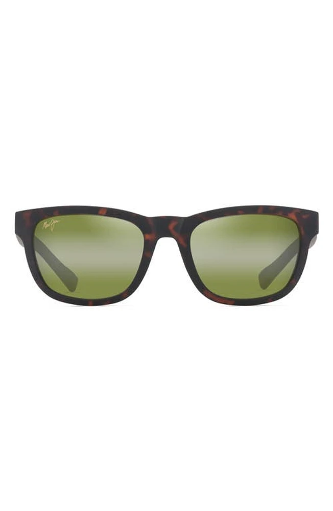 Maui Jim Kapii 54mm Gradient PolarizedPlus2 Square Sunglasses in Matte Dark Havana at Nordstrom