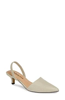 Bella Vita Sarah II Slingback Pump Natural Snake Print at Nordstrom,