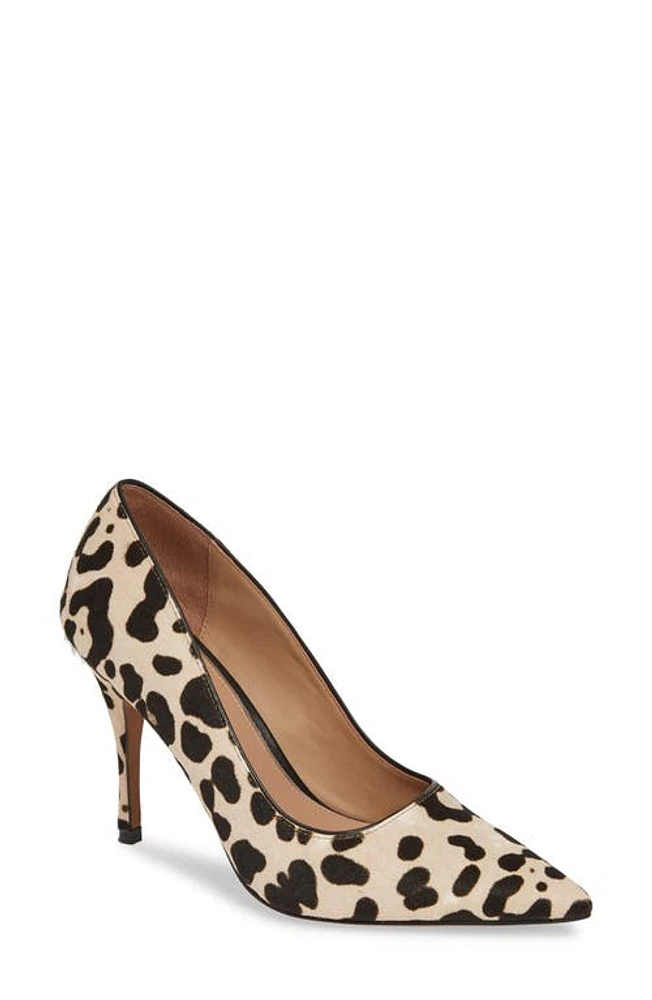 Linea Paolo Payton Pointy Toe Pump White/Black Calf Hair at Nordstrom,