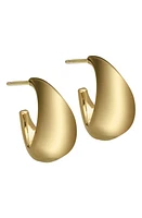 Jennifer Zeuner Shira Hoop Earrings in 14K Yellow Gold Plated Silver at Nordstrom