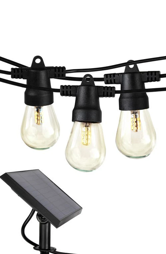 Brightech Ambience Solar Outdoor String Lights in Black at Nordstrom