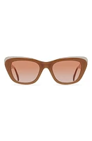 RAEN Kimma 52mm Polarized Cat Eye Sunglasses in Henna/Poppy at Nordstrom