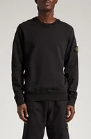 Stone Island Compass Logo Cotton Crewneck Sweatshirt in Black at Nordstrom, Size Small