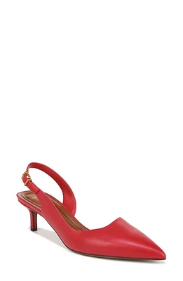 Sarto by Franco Kimberly Half d'Orsay Pointed Toe Kitten Heel Pump at Nordstrom