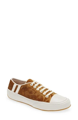 Cecelia New York Rookie Sneaker Velvet at Nordstrom,