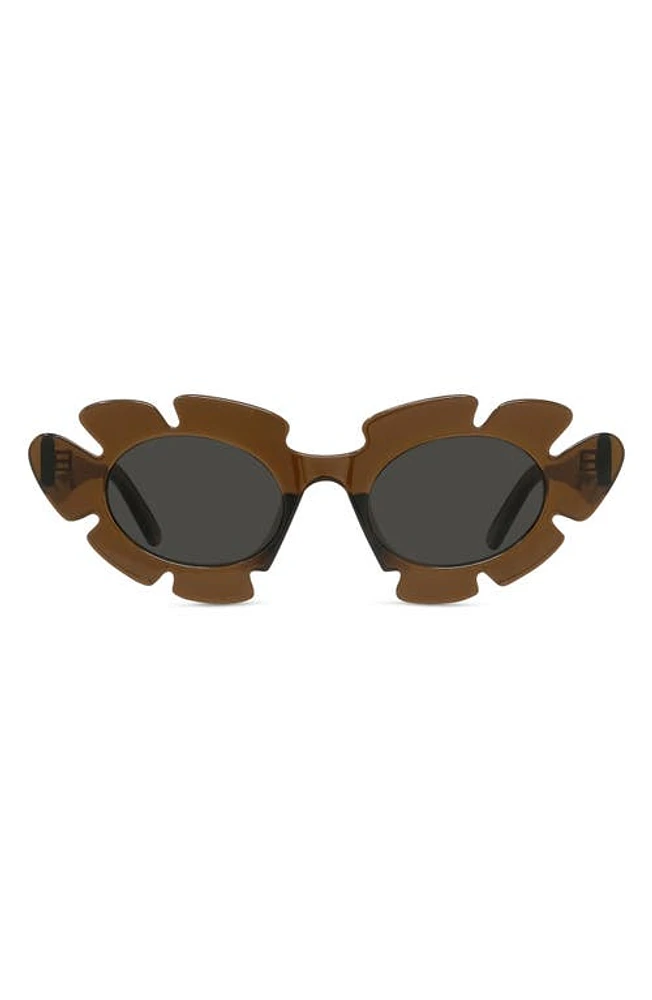 Loewe x Paula's Ibiza 47mm Cat Eye Sunglasses in Light Brown/Other /Smoke at Nordstrom