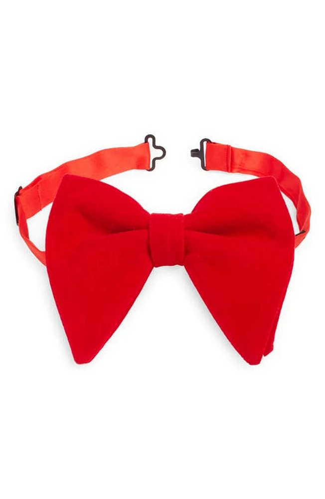 CLIFTON WILSON Red Silk Velvet Bow Tie at Nordstrom