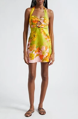 ALEMAIS Silas Floral Print Linen Halter Minidress Multi Green at Nordstrom,