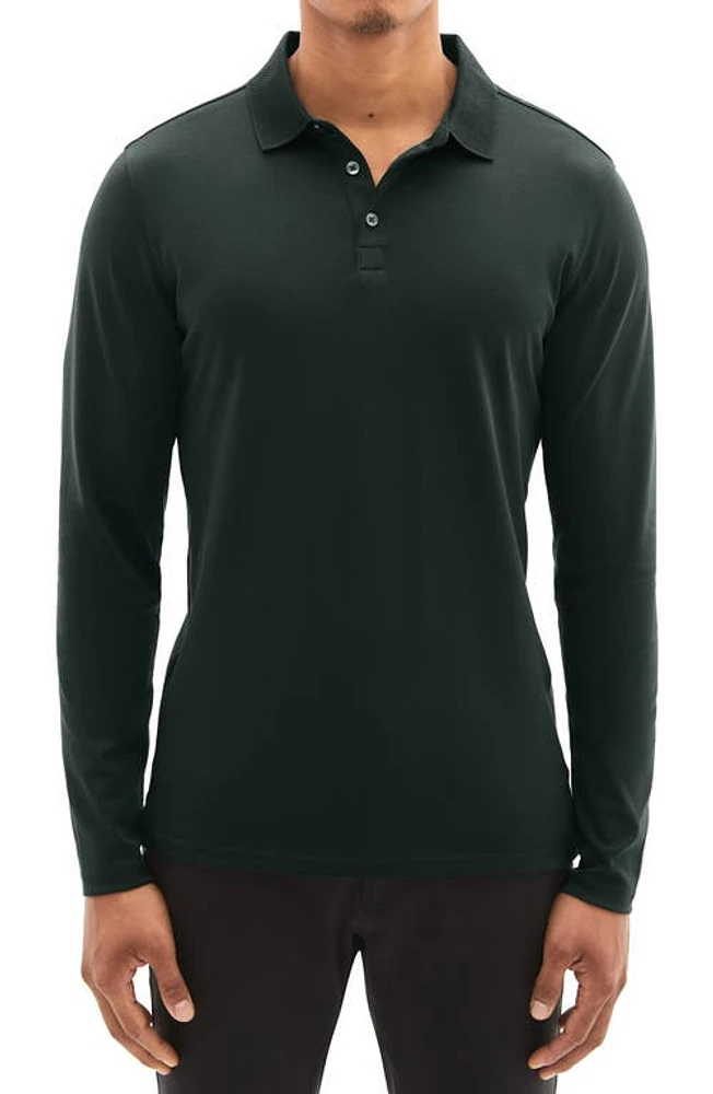 Robert Barakett Georgia Long Sleeve Polo at Nordstrom,