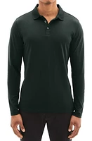 Robert Barakett Georgia Long Sleeve Polo at Nordstrom,