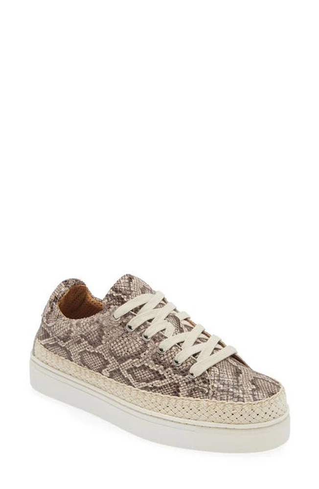 The FLEXX Hi Tide Platform Sneaker in Teak Jack Leather at Nordstrom, Size 11