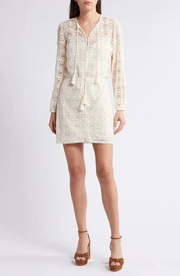 FRAME Mesh Long Sleeve Dress Cream at Nordstrom,