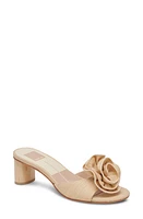 Dolce Vita Darly Slide Sandal at Nordstrom,