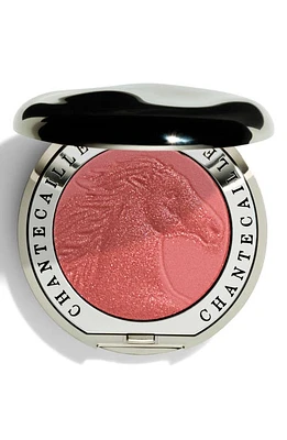 Chantecaille Philanthropy Cheek Shade Blush in Joy - Wild Horse at Nordstrom