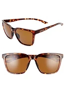 Smith Shoutout 57mm ChromaPop Polarized Square Sunglasses in Dark Tortoise/Brown at Nordstrom