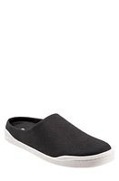 SoftWalk Auburn Mule in Black Canvas at Nordstrom, Size 7