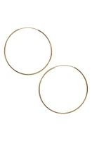 Argento Vivo Sterling Silver Argento Vivo Extra Large Endless Hoop Earrings in Gold at Nordstrom