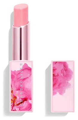 Chantecaille Rose de Mai Lip Balm at Nordstrom