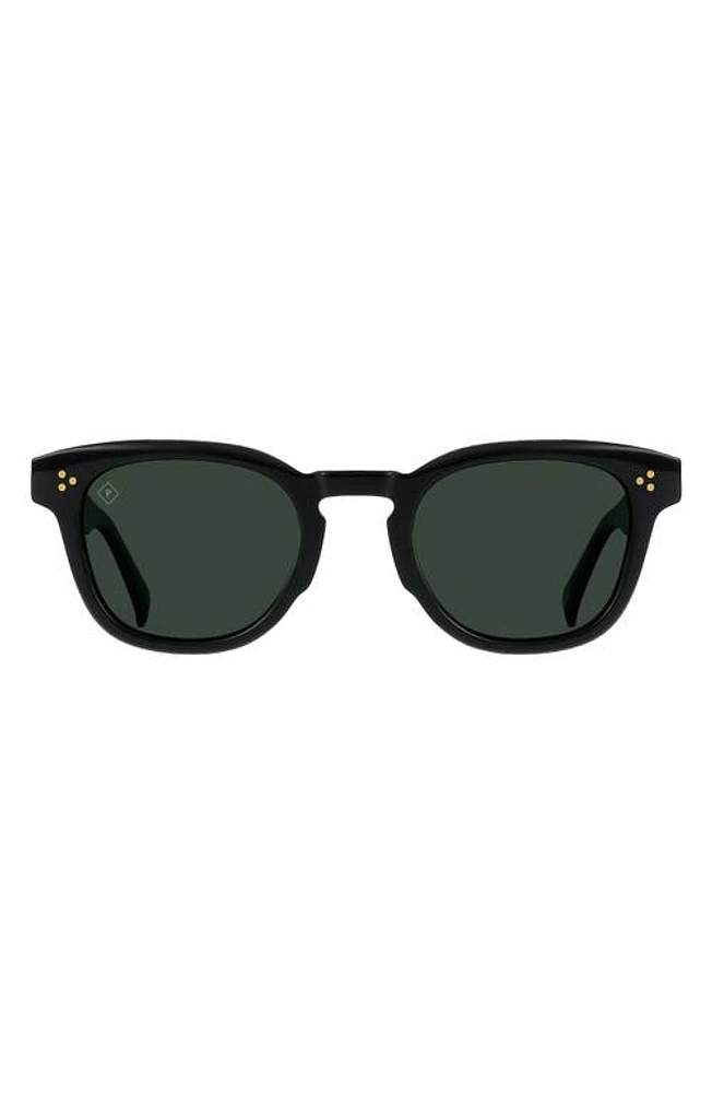 RAEN Squire 49mm Polarized Round Sunglasses in Recycled Black/Green Polar at Nordstrom