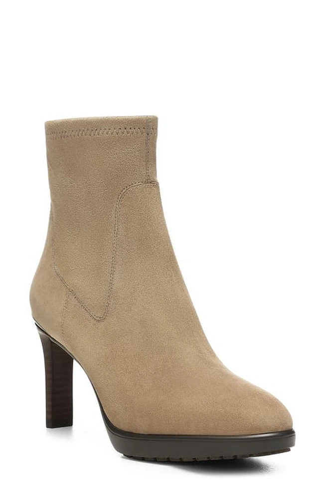 Donald Pliner Italia Bootie Biscotti at Nordstrom,