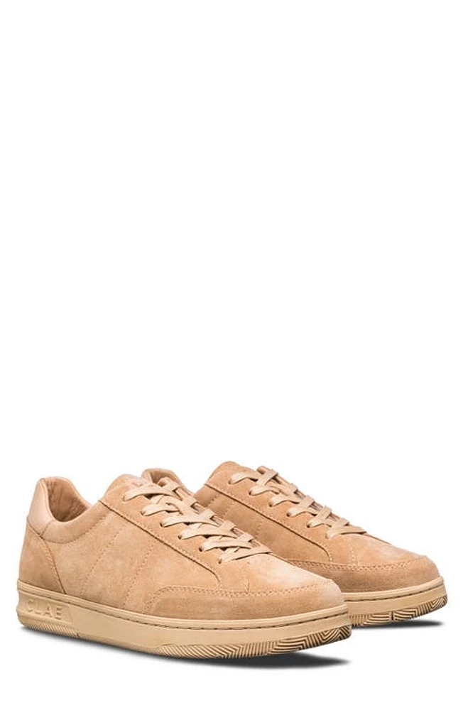 CLAE Monroe Sneaker Starfish Suede at Nordstrom,