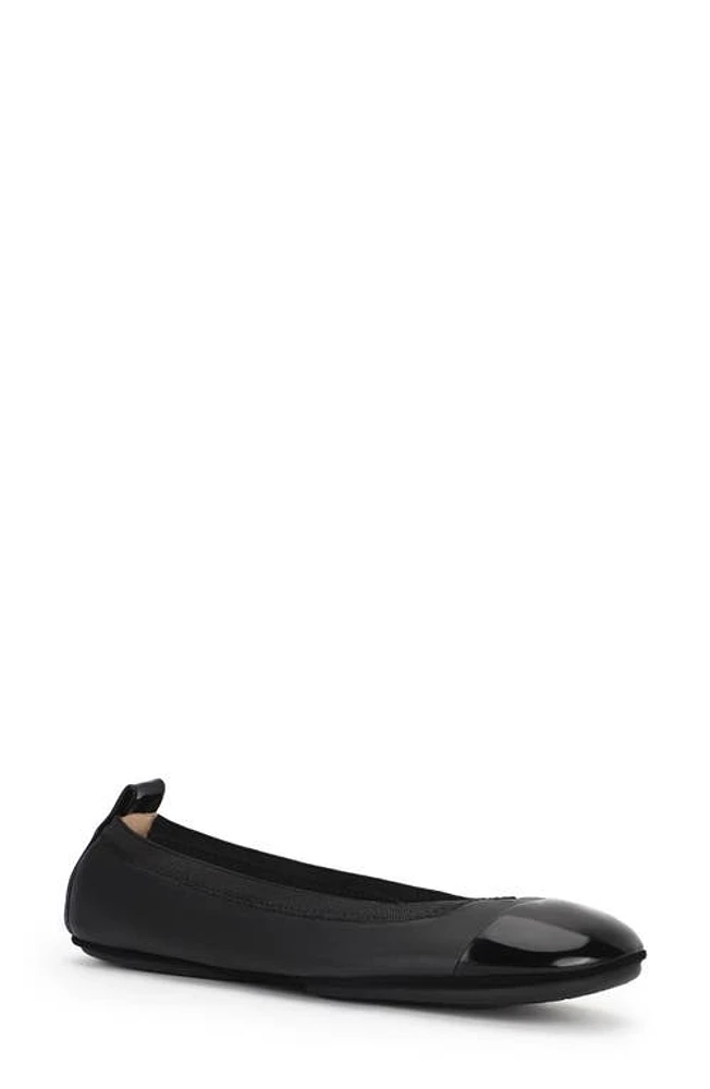 Yosi Samra Samantha Foldable Ballet Flat Black/Black at Nordstrom,