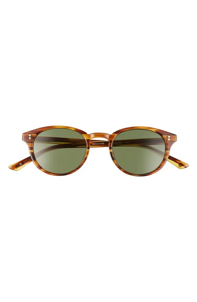 SALT. Spencer 48mm Polarized Round Sunglasses in Woodgrain/Green at Nordstrom