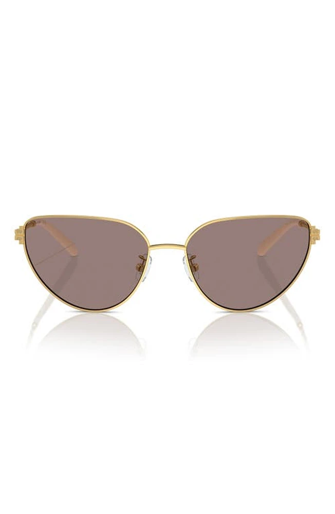 Tory Burch 56mm Cat Eye Sunglasses in Gold at Nordstrom