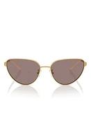 Tory Burch 56mm Cat Eye Sunglasses in Gold at Nordstrom