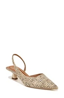 Sarto by Franco Devin Kitten Heel Slingback Pump Beige at Nordstrom,