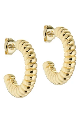 Ted Baker London Tottie Twist Hoop Earrings in Gold Tone at Nordstrom