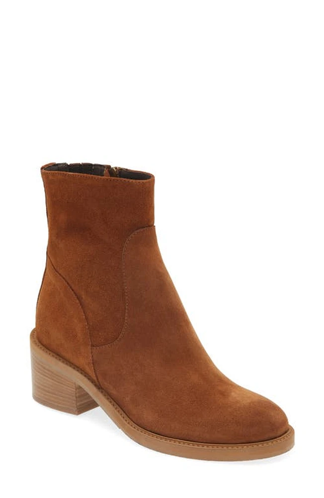 Cordani Butler Bootie Camoscio Tobacco at Nordstrom,