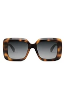 CELINE Bold 3 Dots Square Sunglasses in Blonde Havana /Gradient Smoke at Nordstrom