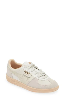 PUMA Palermo Sneaker in Warm White-Alpine Snow-Cashew at Nordstrom, Size 7