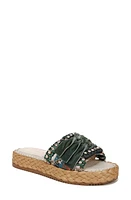 Circus NY by Sam Edelman Wyatt Slide Sandal Ocean Sapphire Multi at Nordstrom,