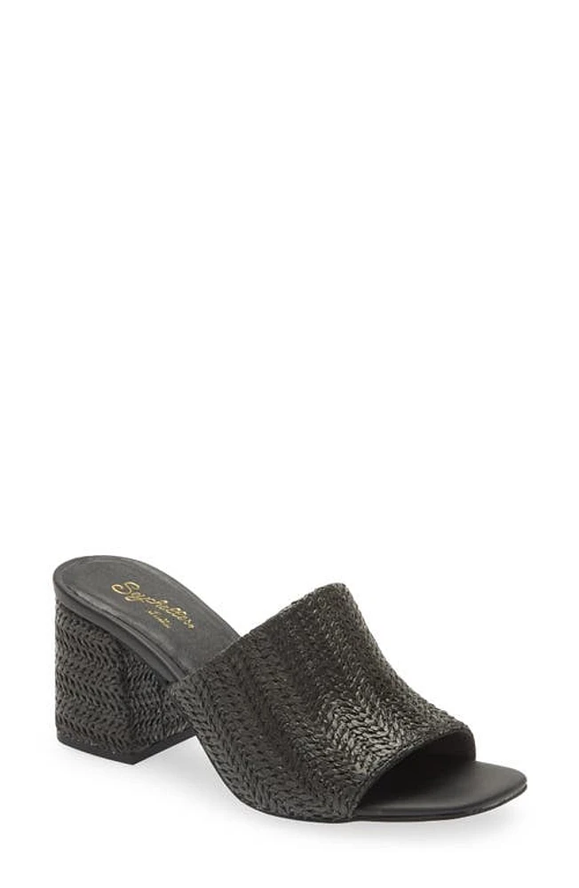 Seychelles Adapt Raffia Slide Sandal in Black Raffia at Nordstrom, Size 8