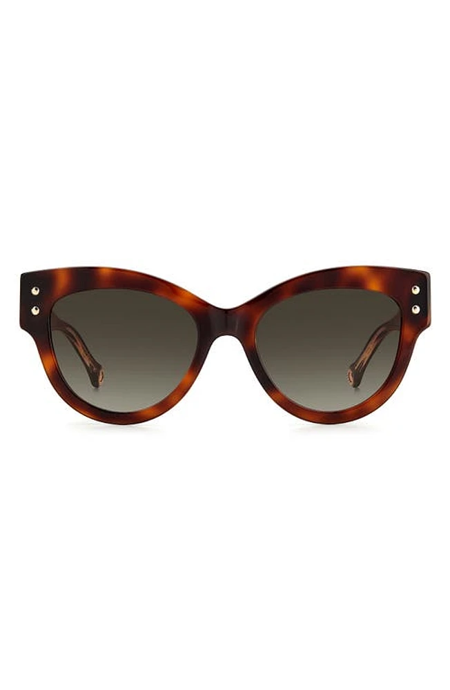 Carolina Herrera 54mm Cat Eye Sunglasses in Havana /Brown Gradient at Nordstrom