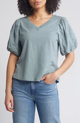 Wit & Wisdom Embroidered Puff Sleeve V-Neck Top at Nordstrom,