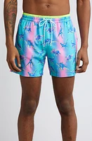 Chubbies Magic Swim Trunks The Dino Delights at Nordstrom,