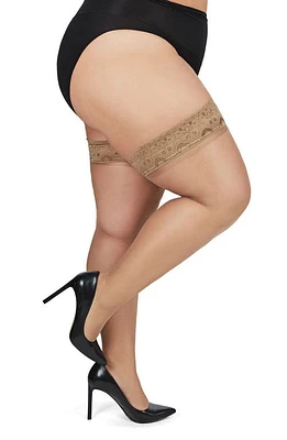 MeMoi Sheer Thigh High Stockings at Nordstrom,