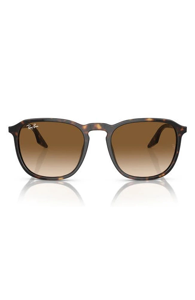 Ray-Ban 52mm Square Sunglasses in Havana at Nordstrom