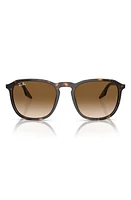 Ray-Ban 52mm Square Sunglasses in Havana at Nordstrom