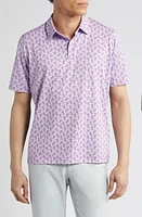 Johnston & Murphy XC4 Cocktail Print Performance Golf Polo Lavendar at Nordstrom, R