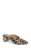 Linea Paolo Zadie II Genuine Calf Hair Mule at Nordstrom,