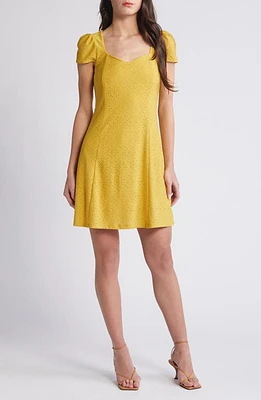 SOMETHING NEW Anne Eyelet Minidress Spicy Mustard at Nordstrom,