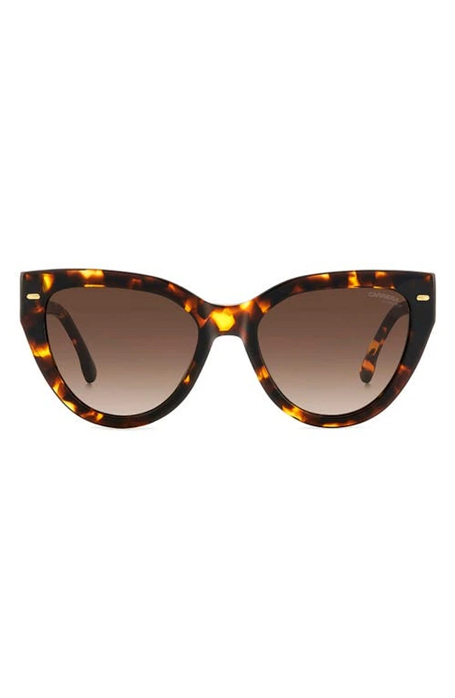 Carrera Eyewear 55mm Gradient Cat Eye Sunglasses in Havana/Brown Gradient at Nordstrom