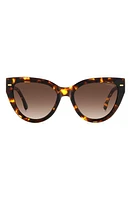 Carrera Eyewear 55mm Gradient Cat Eye Sunglasses in Havana/Brown Gradient at Nordstrom