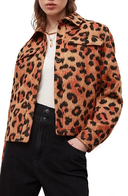 AllSaints Honor Leopard Print Jacket Brown at Nordstrom, Us