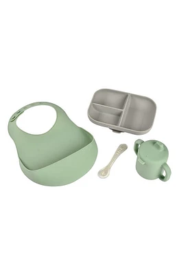 BEABA 4-Piece Silicone Meals Essentials Set in Grey/Sage at Nordstrom